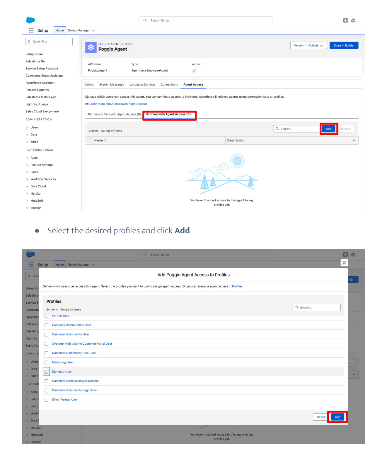 Profiles with Agent Access tab and the profile selection dialog